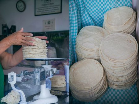 Corn Tortillas in a tortilla bakery